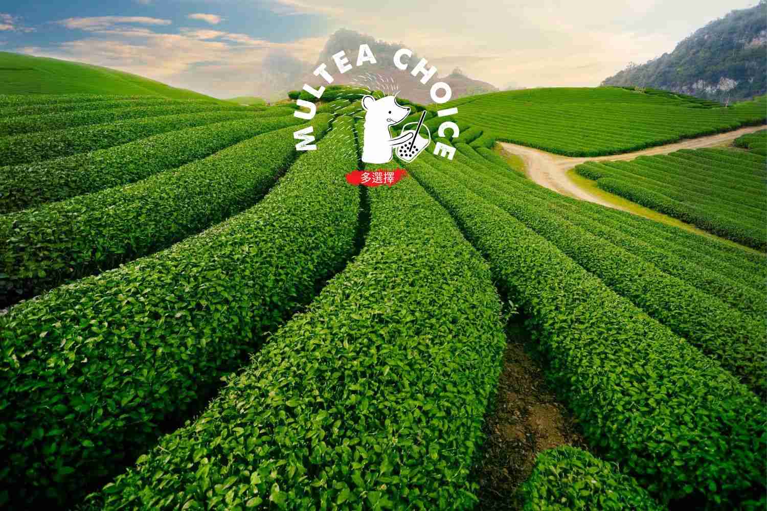 Our Story – Multea Choice | Taiwanese Bubble Tea